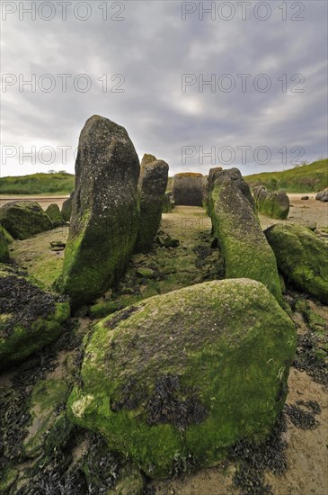 Neolithic tomb