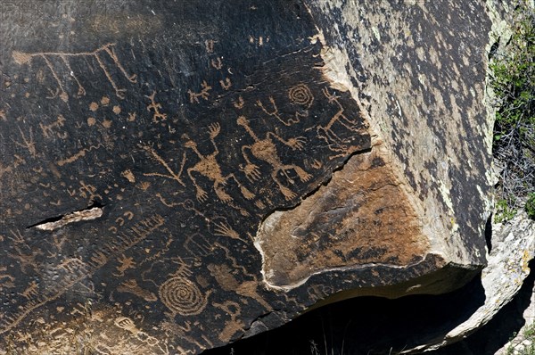 Newspaper Rock