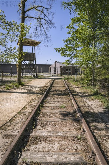 Train tracks leading to Herzogenbusch