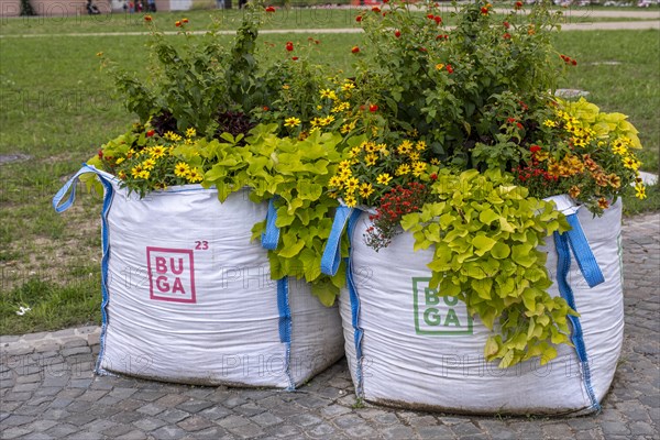 Flowers in planting bags at the Federal Horticultural Show