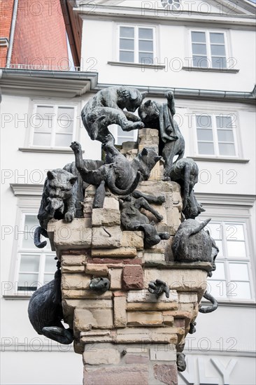 Cat bellows a stele in the old town of Braunschweig