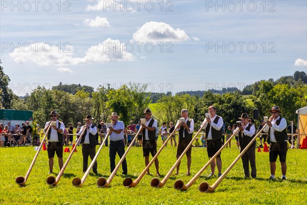 Alphorn blowers