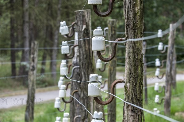 Porcelain pin insulators and Wire of Death