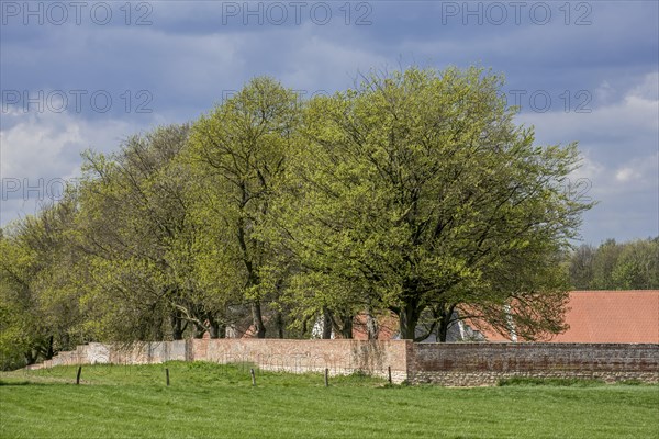 Southern garden wall of the Chateau d'Hougoumont