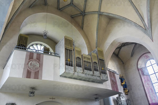 The organ