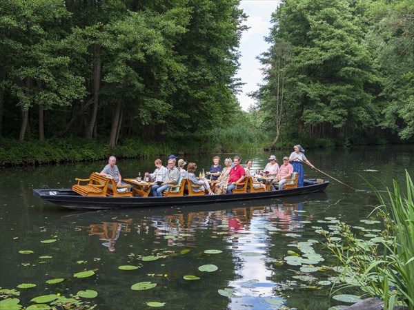 Boat trip in the Spreewald