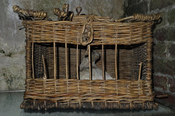 Basket with homing pigeon in museum of First World War One Fort de Vaux at Vaux-Devant-Damloup