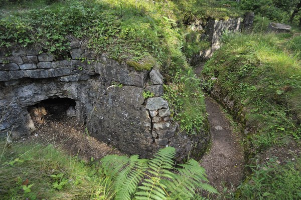 German trenches at the First World War battlefield Le Linge at Orbey