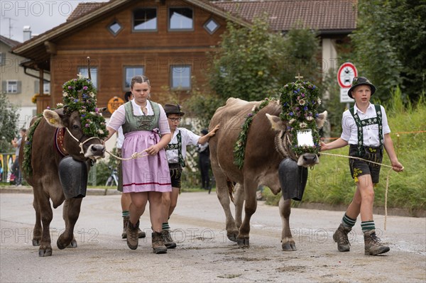 Alpine children leading wreath cattle