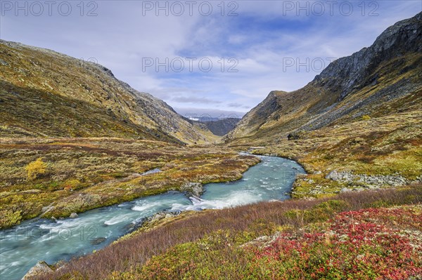 Autumn in Sognefjellet