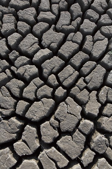 Abstract pattern of dry cracked clay mud in dried up lake bed