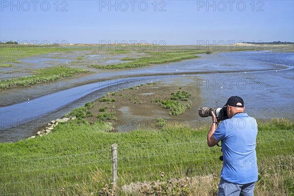 Elderly nature photographer on the International Dike looking over saltmarsh and coastal birds at the Zwin nature reserve