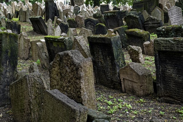 Old Jewish Cemetery