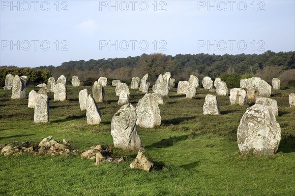 Neolithic menhirs