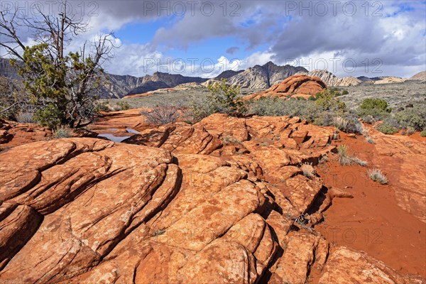 Layered Navajo sandstone of the Red Mountains in Snow Canyon State Park