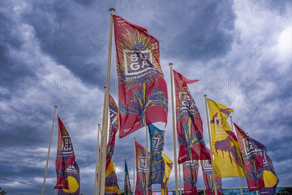 Buga flags at the Federal Horticultural Show