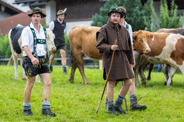 Alpine herdsmen on the alpine pasture