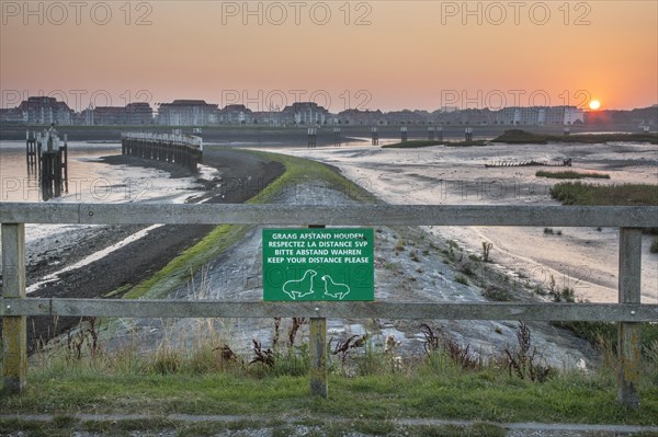 Salt marsh and mudflats at the nature reserve De IJzermonding at Nieuwpoort