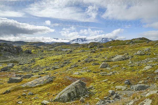 View of Fannaraki and Fannarakbreen