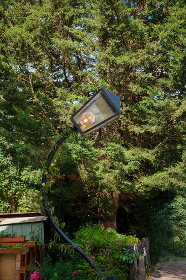 Curved lantern with one energy-saving lamp