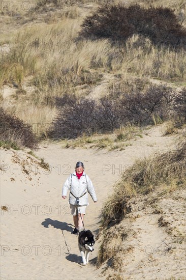 Woman walking with Siberian Husky dog on the lead in sand dunes along the North Sea coast in spring