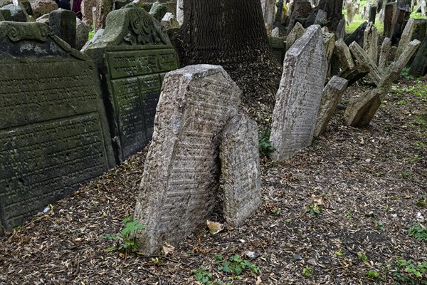 Old Jewish Cemetery