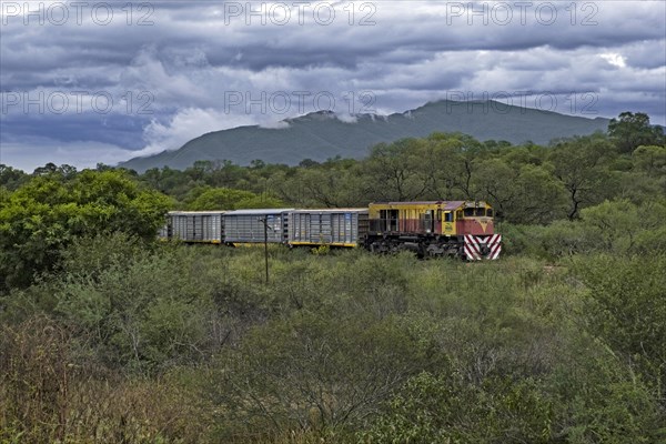 Freight train riding through the foothills of the Andes mountains in the Salta Province