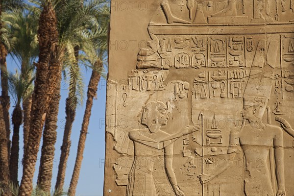 Frieze with Egyptian hieroglyphs on wall at the Karnak Temple Complex