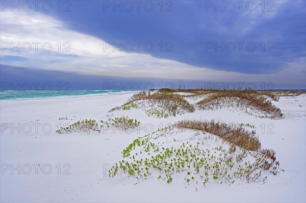 White quartz sand dunes at sunset along the Gulf of Mexico at Gulf Islands National Seashore in winter