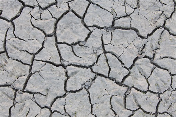 Dry cracked mud in dried out pond