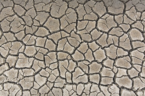 Abstract pattern of dry cracked mud in dried up wetland caused by prolonged drought in summer in hot weather temperatures