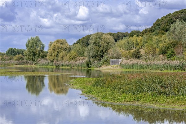 Birdwatching bird hide