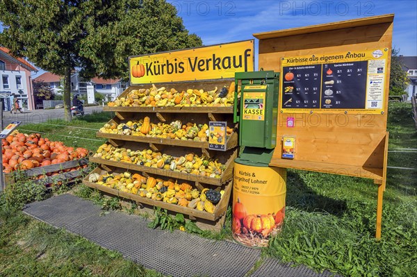 Outdoor pumpkin sale