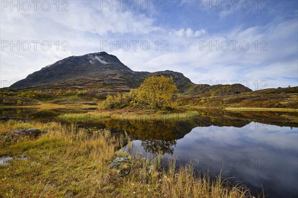 Bog lake in autumn