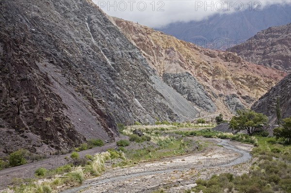 Railroad track of the Tren a las Nubes