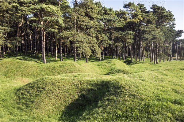 Preserved battlefield showing bomb craters near the Canadian National Vimy Memorial