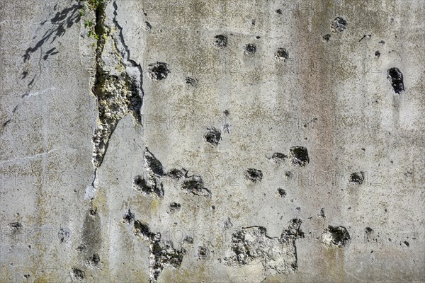 Bullet-scarred wall in the Fort de Loncin