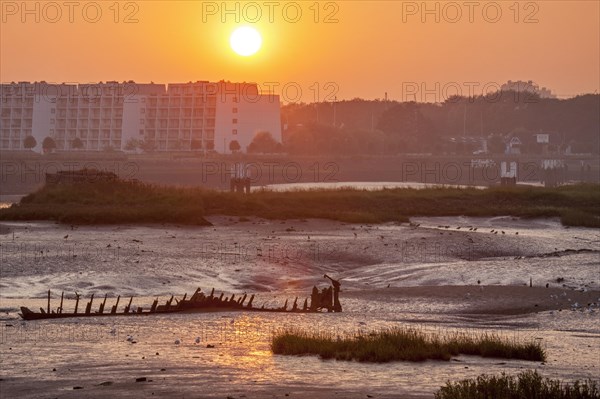 Salt marsh and mudflats at the nature reserve De IJzermonding at Nieuwpoort