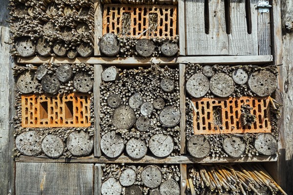 Insect hotel for solitary bees and artificial nesting place for other insects