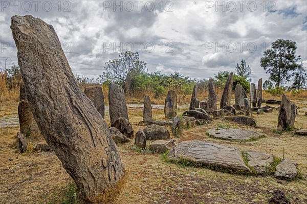 Megalithic stelae in Tiya