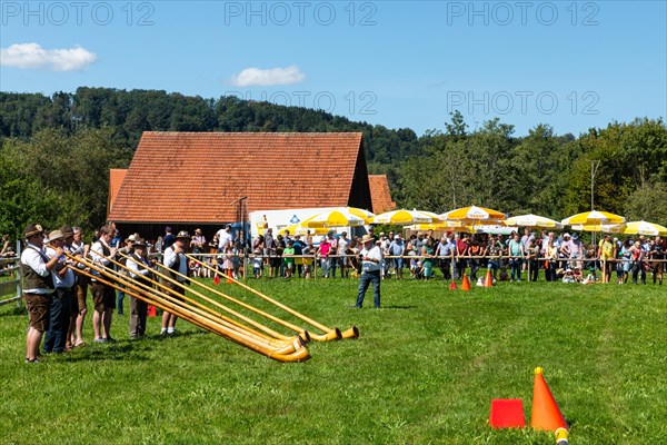 Alphorn blowers