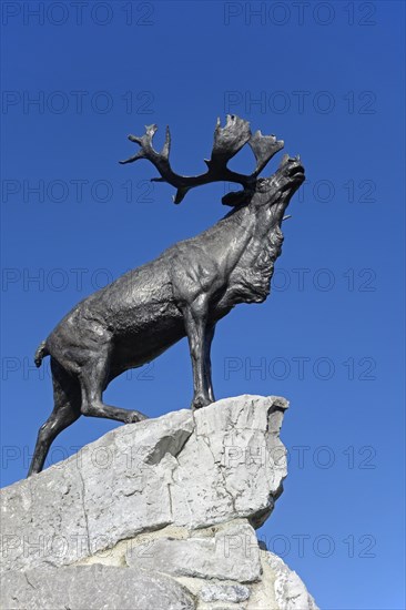 Caribou at the Beaumont-Hamel Newfoundland Memorial