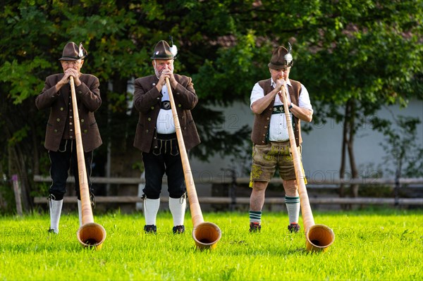 Alphorn blowers