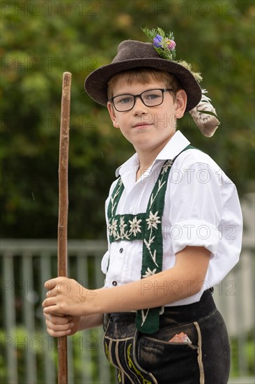 Alpine pasture boy