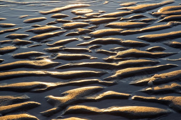 Abstract sand pattern