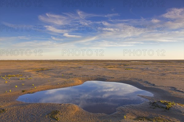 Tidal pool at low tide in mudflat