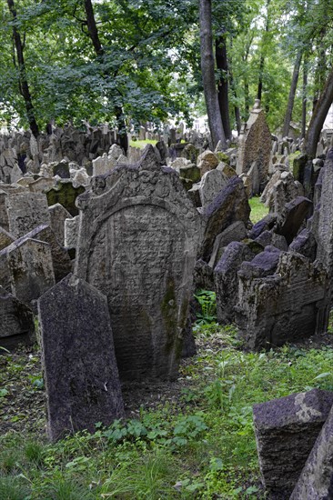 Old Jewish Cemetery