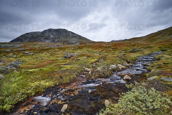 Stream with mountain