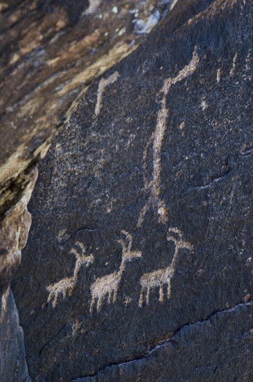 Ancient petroglyphs near Puerco Pueblo made by ancestral Puebloan people showing anthropomorphs