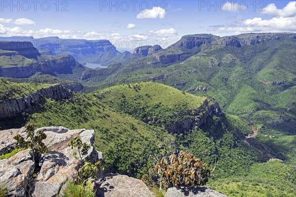 View from Lowveld Viewpoint over the Blyde River Canyon